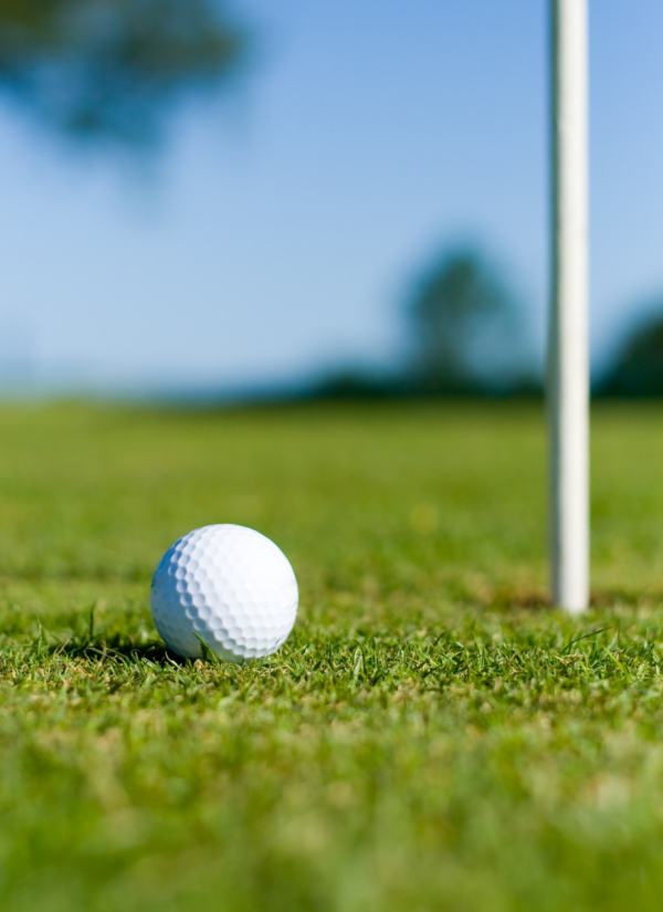 Early-Bird Reservation: 1 Golfer